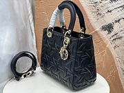 Dior Medium Lady Bag Black Graphic Calfskin 24x21x12cm - 2