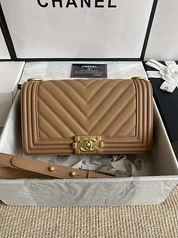 Chanel Leboy Bag Brown Caviar Gold Chevron 25cm