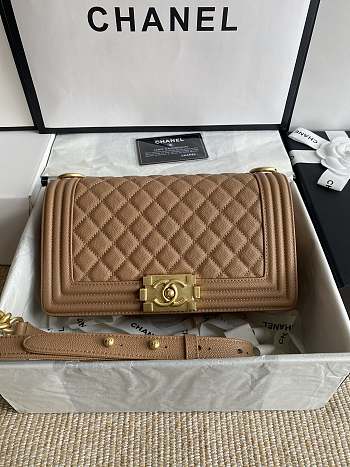 Chanel Leboy Bag Brown Caviar Gold 25cm