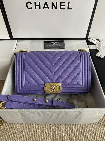 Chanel Leboy Bag Purple Caviar Gold Chevron 25cm