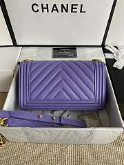 Chanel Leboy Bag Purple Caviar Gold Chevron 25cm - 2