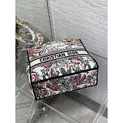 Dior Medium Lady D-Lite Bag Latte Multicolor Cabinet 24x11x20cm - 6