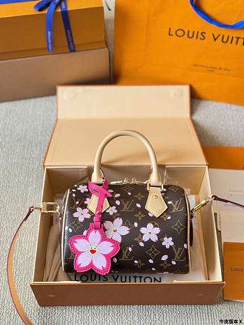 Louis Vuitton LV x TM Speedy 20 Sakura Brown 20cm