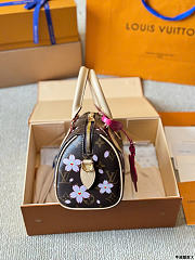 Louis Vuitton LV x TM Speedy 20 Sakura Brown 20cm - 6