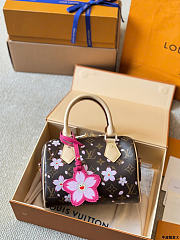 Louis Vuitton LV x TM Speedy 20 Sakura Brown 20cm - 4