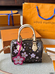 Louis Vuitton LV x TM Speedy 20 Sakura Brown 20cm - 2