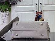 Louis Vuitton LV CarryAll PM Grey Bag 29.5x24x12cm - 4