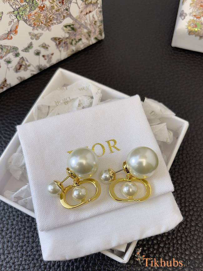 Dior Earrings 18 - 1