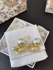 Dior Earrings 18 - 1