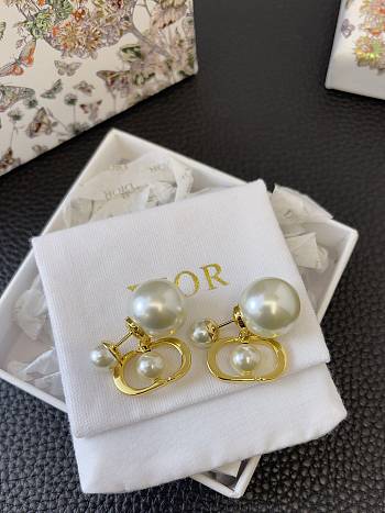 Dior Earrings 18