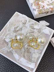 Dior Earrings 18 - 3