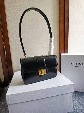 Celine Teen Josephine Bag Calfskin Black 18.5x13x5cm