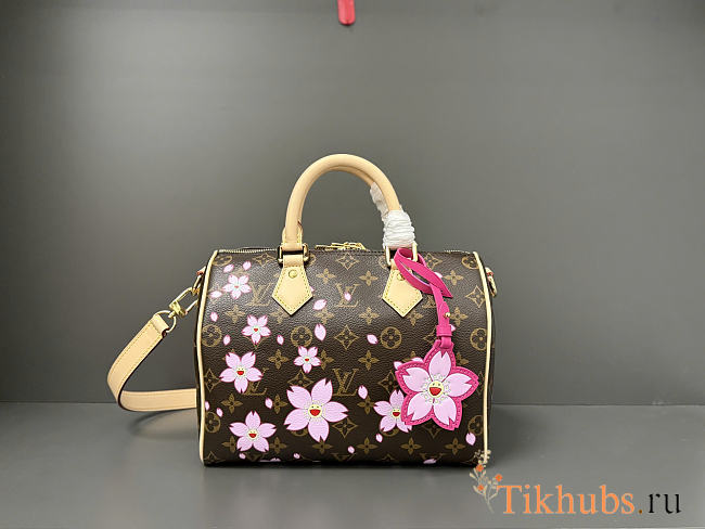 Louis Vuitton LV x TM Speedy 25 Sakura Brown 25x19x15cm - 1