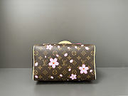 Louis Vuitton LV x TM Speedy 25 Sakura Brown 25x19x15cm - 5