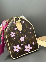 Louis Vuitton LV x TM Speedy 25 Sakura Brown 25x19x15cm - 3