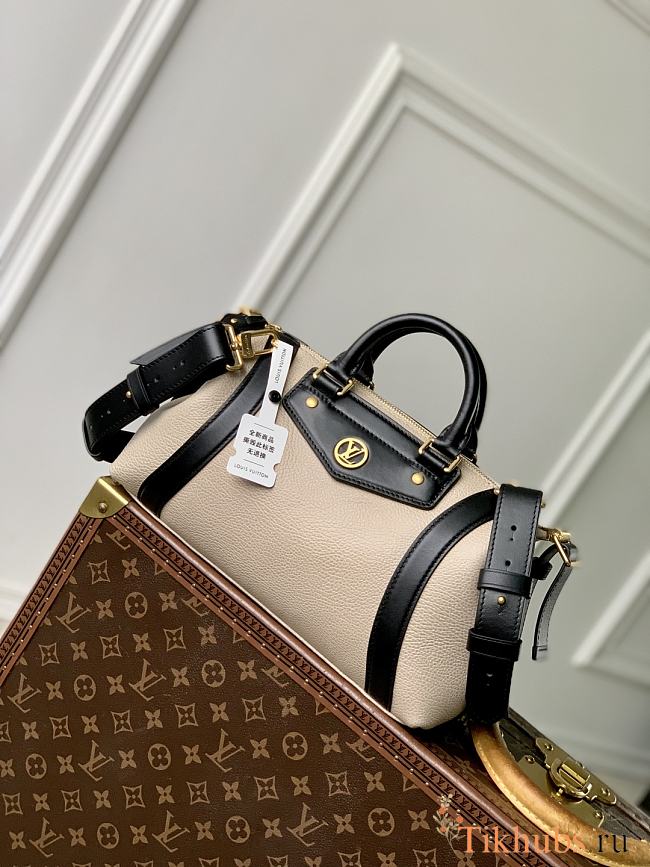 Louis Vuitton LV Biker PM Grey Bag 30x12x12cm - 1