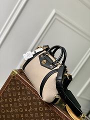Louis Vuitton LV Biker PM Grey Bag 30x12x12cm - 6