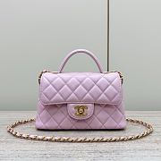 Chanel Small Flap Bag Top Handle Lambskin Gold Light Pink 20x14x6cm - 1