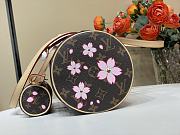 Louis Vuitton LV x TM Papillon Sakura Brown 27x11x13cm - 4