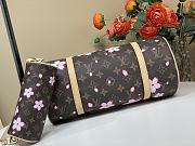 Louis Vuitton LV x TM Papillon Sakura Brown 27x11x13cm - 2
