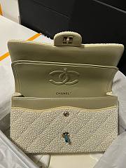 Chanel Flap Bag Beige 25cm - 2