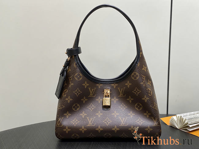Louis Vuitton LV The Drop PM Bag 28x15x12cm - 1