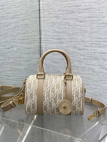 Dior Groove 20 Bag Natural Oblique Jacquard 20.5x13.5x12cm