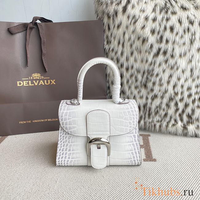 Delvaux Brillant Mini White Crocodile 20x12x15cm - 1