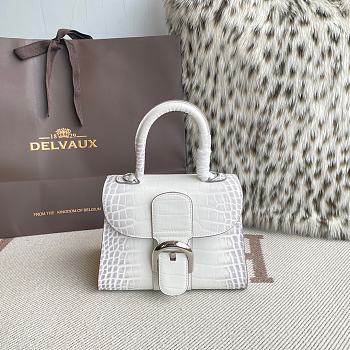 Delvaux Brillant Mini White Crocodile 20x12x15cm