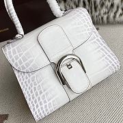 Delvaux Brillant Mini White Crocodile 20x12x15cm - 5