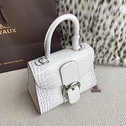 Delvaux Brillant Mini White Crocodile 20x12x15cm - 4