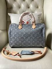 Louis Vuitton LV Speedy Soft 30 Bag Grey 30x21x17cm - 2