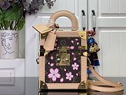 Louis Vuitton LV x TM Camera Box Sakura Brown 17.5x21.5x10.5cm - 1