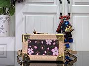 Louis Vuitton LV x TM Camera Box Sakura Brown 17.5x21.5x10.5cm - 6