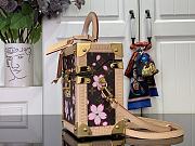 Louis Vuitton LV x TM Camera Box Sakura Brown 17.5x21.5x10.5cm - 5