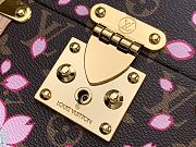 Louis Vuitton LV x TM Camera Box Sakura Brown 17.5x21.5x10.5cm - 2