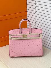 Hermes Birkin 25 Bag Pink Ostrich Gold 25cm - 1