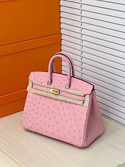 Hermes Birkin 25 Bag Pink Ostrich Gold 25cm - 2