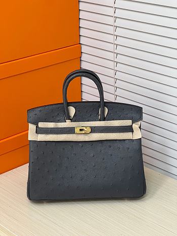 Hermes Birkin 25 Bag Black Ostrich Gold 25cm