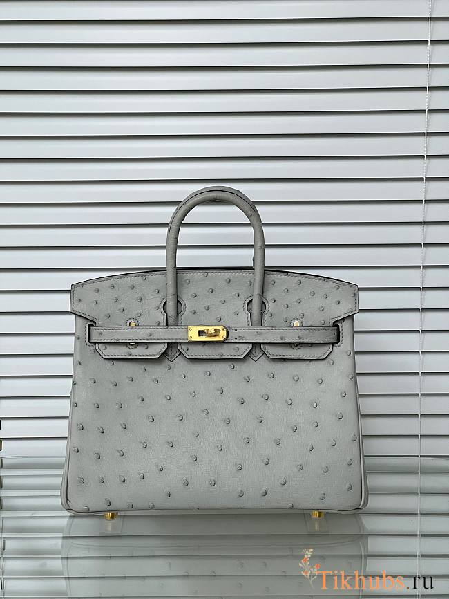 Hermes Birkin 25 Bag Grey Ostrich Gold 25cm - 1