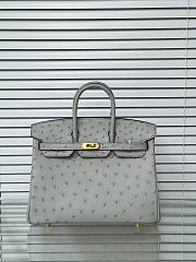 Hermes Birkin 25 Bag Grey Ostrich Gold 25cm - 1