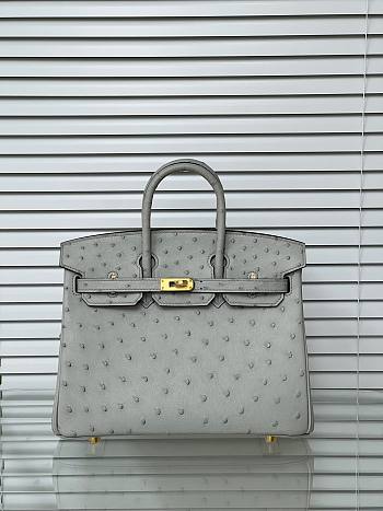 Hermes Birkin 25 Bag Grey Ostrich Gold 25cm