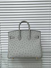 Hermes Birkin 25 Bag Grey Ostrich Gold 25cm - 4