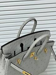 Hermes Birkin 25 Bag Grey Ostrich Gold 25cm - 5