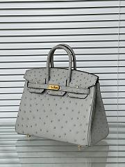 Hermes Birkin 25 Bag Grey Ostrich Gold 25cm - 3