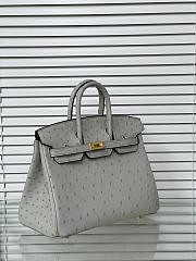 Hermes Birkin 25 Bag Grey Ostrich Gold 25cm - 2