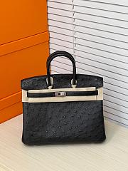 Hermes Birkin 25 Bag Black Ostrich Silver 25cm - 1