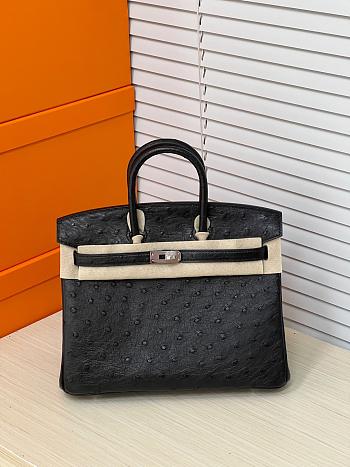 Hermes Birkin 25 Bag Black Ostrich Silver 25cm