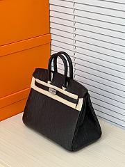 Hermes Birkin 25 Bag Black Ostrich Silver 25cm - 5