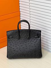 Hermes Birkin 25 Bag Black Ostrich Silver 25cm - 2